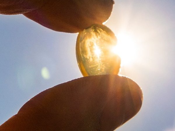 Conoce los 5 beneficios de la vitamina D